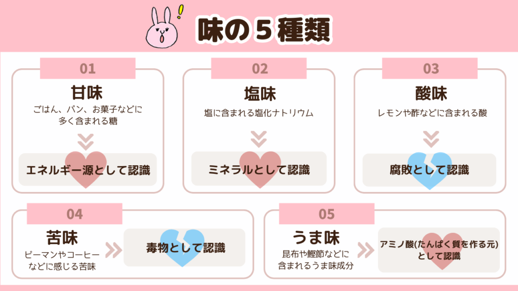 5種類の味の説明