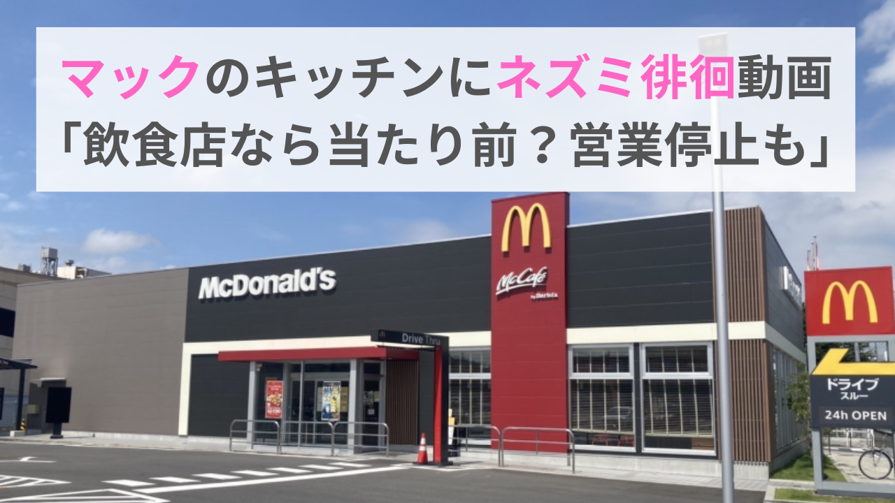 マックのキッチンにネズミ徘徊動画