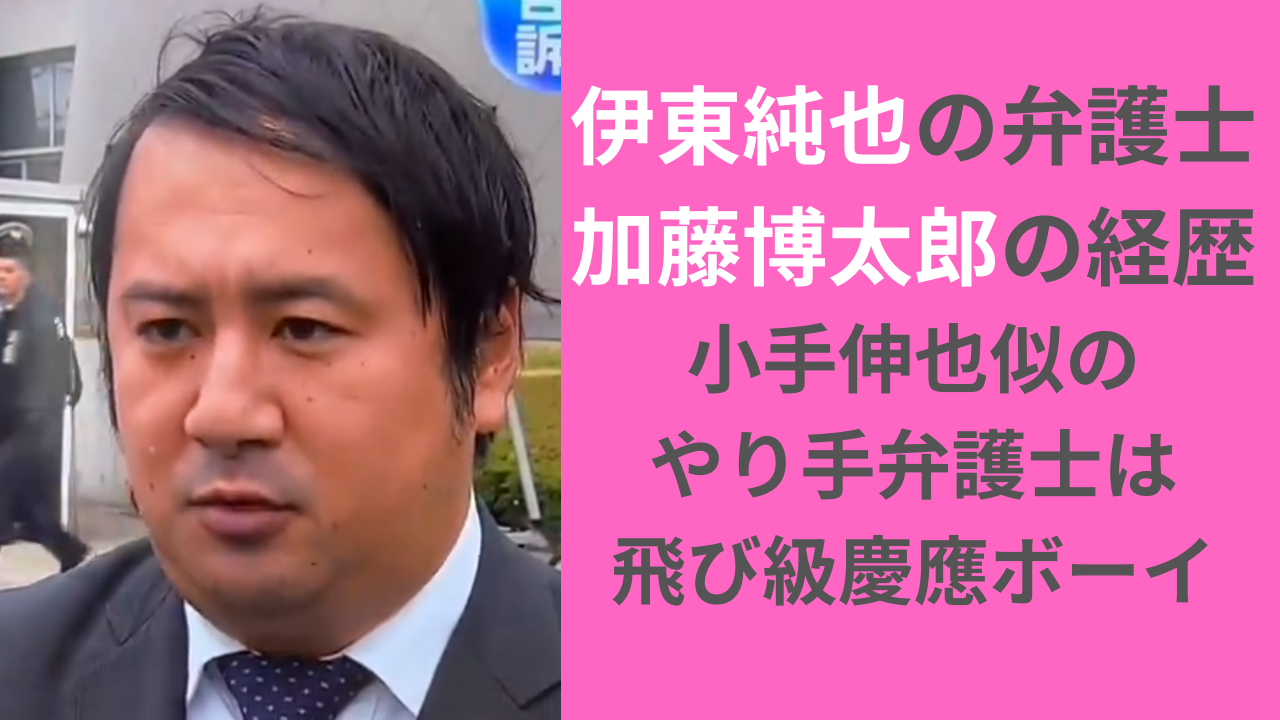 加藤博太郎の経歴